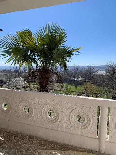 a white fence with a palm tree in the background at Hotel Villa DavidL in Sagarejo