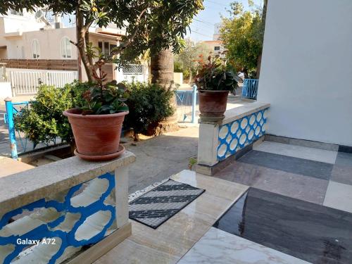 deux plantes en pot sont assises sur un mur dans l'établissement Cottage Heights, à Nicosie