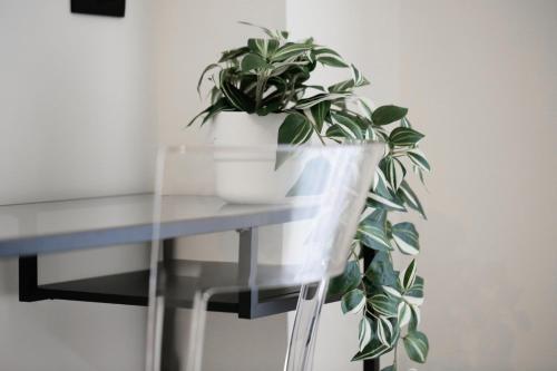 [New Modern Flat] 10 minutes walk from Central Station photo 19