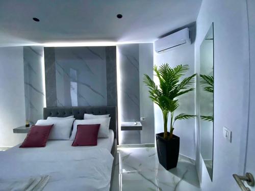 a bedroom with a bed and a potted plant at Suncity Tirana Luxury Apartments (Ap. 01) in Tirana