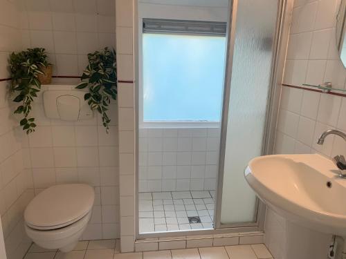 La salle de bains est pourvue de toilettes et d'un lavabo. dans l'établissement Heerlijk vakantiehuis in bos bij Durbuy, à Durbuy
