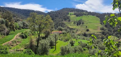 塔札的住宿－دار الضيافة تازكة Maison d'hôtes Tazekka，享有山坡上绿色田野和树木的景色