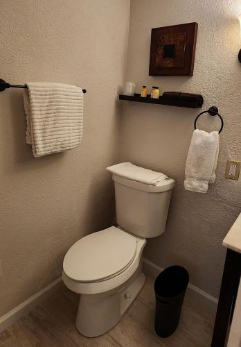 a bathroom with a white toilet and towels at Lily Creek Lodge in Dahlonega