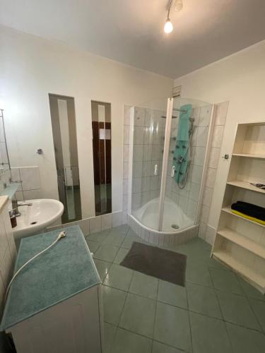 a white bathroom with a shower and a sink at Apartament Airport Gdańsk in Firoga