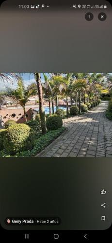 Captura de pantalla de una imagen de un camino con palmeras en Hotel Juaica, en Tenjo