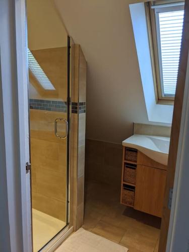 a small bathroom with a shower and a sink at The Barn New Forest Free Paddle boarding & free Zip wire. in Ringwood