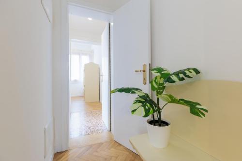 a plant sitting on a table in a hallway at Villa Luccon - Mirano Centro Storico in Mirano