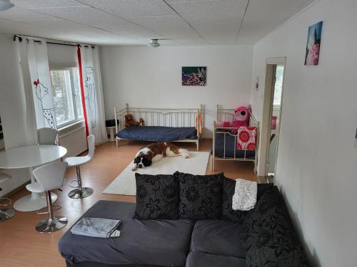 a living room with a couch and a dog laying on the floor at Loviisan Limu in Loviisa