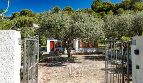 a gate to a house with an olive tree at Welcomely - Badde Nuraghe dimora vista mare con parcheggio privato in Magomadas