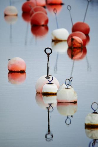 a pair of scissors sitting on top of rocks in the water at Valleviken Hotell in Valleviken