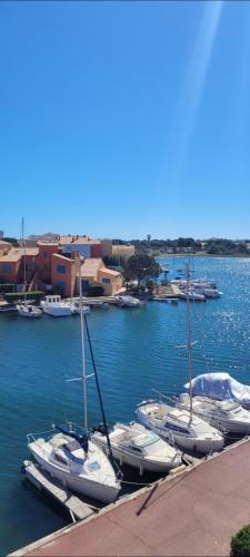 un groupe de voiliers est amarré dans un port dans l'établissement Marina, au Barcarès