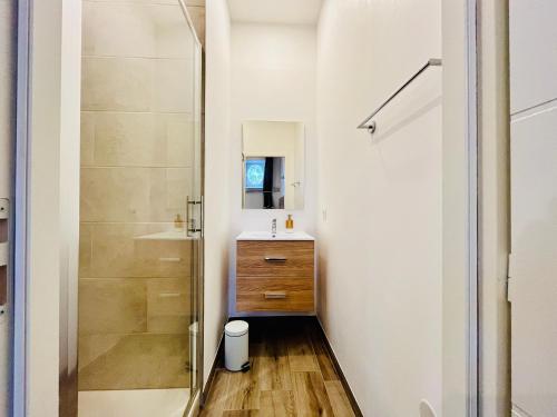 une petite salle de bain avec un lavabo et un miroir dans l'établissement Hypercentre, spacieux, familial, le Belvédère, à Tours