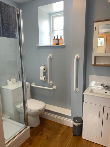 a bathroom with a toilet and a shower and a sink at Scotland Lodge Farm, Stonehenge in Salisbury