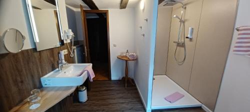 La salle de bains est pourvue d'un lavabo et d'une douche. dans l'établissement Wein-und Gasthof Zipf, à Miltenberg