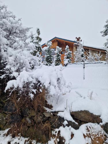 Odeillo-ViaにあるCosy Houseの雪に覆われた木々の家