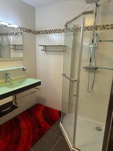W łazience znajduje się szklana kabina prysznicowa i umywalka. w obiekcie Ferienhaus Lübke w mieście Mühlhausen
