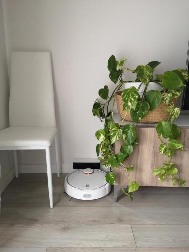 Apartamento Playa Valle Niza