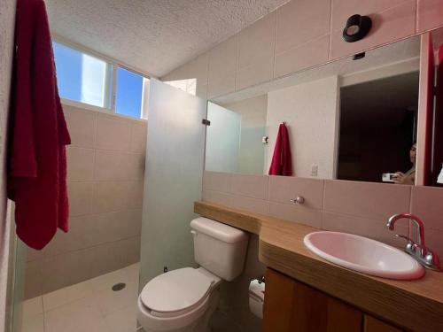 La salle de bains est pourvue de toilettes, d'un lavabo et d'un miroir. dans l'établissement Oaxaca departamento azul, à Oaxaca