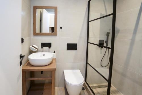 La salle de bains est pourvue de toilettes, d'un lavabo et d'une douche. dans l'établissement MONOPATI HOUSE, à Mouzákion