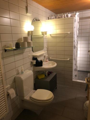 uma casa de banho com um WC, um lavatório e um espelho. em Bezauberndes Gartentiny em Steffisburg