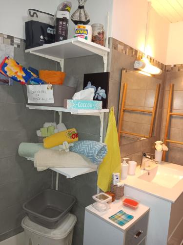 a bathroom with a toilet and a sink at Sous le manguier in Sainte-Anne