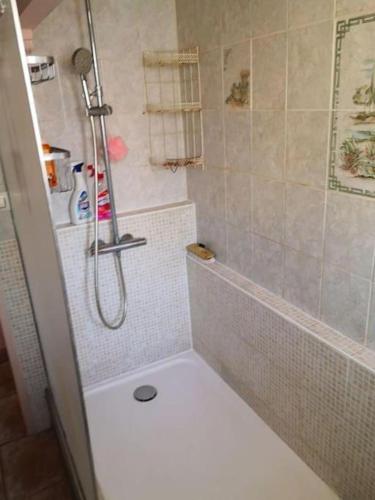 La salle de bains est pourvue d'une douche, de toilettes et d'une baignoire. dans l'établissement Air-conditioning room in an apartment of 4 rooms, à Toulon