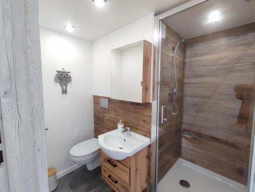 La salle de bains est pourvue de toilettes, d'un lavabo et d'une douche. dans l'établissement Forrest Glamp, à Mieroszów
