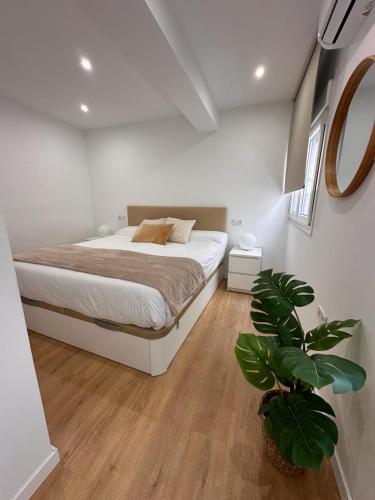 Apartamento San Jorge Premium - Málaga