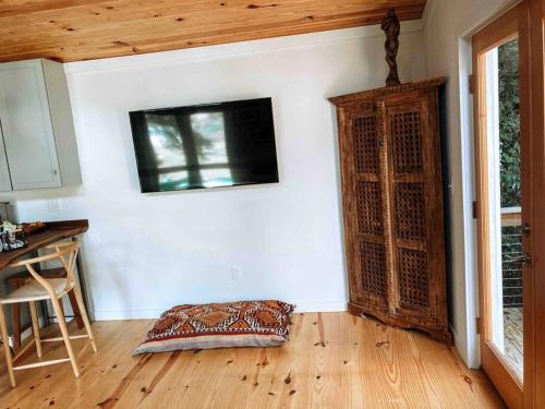 a living room with a television and a pillow on the floor at Modern Treehouse, close to downtown and beach in Wilmington