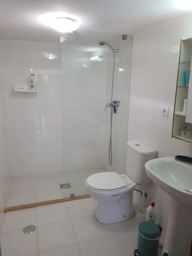 ein Bad mit einer Dusche, einem WC und einem Waschbecken in der Unterkunft QUINTA FENIX - Chambre Olivia in Cerejeiras