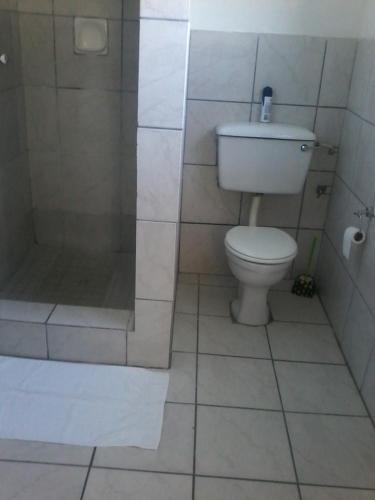 a bathroom with a toilet and a shower at Palm Springs B and B and Self Catering in Butterworth