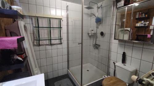La salle de bains est pourvue d'une douche et de toilettes. dans l'établissement "Tempat Senang" chalet on the beautiful Veluwe with airco sauna bbq jacuzzi beamer and dog, à Putten
