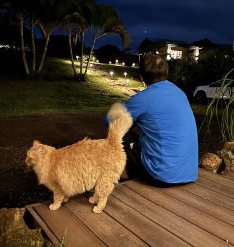 a man sitting on a deck petting a cat at Mahana House Country Inn in North Hilo