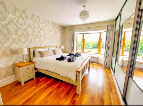 een slaapkamer met een groot bed en een groot raam bij An Ghlaise Bheag in Kilmore