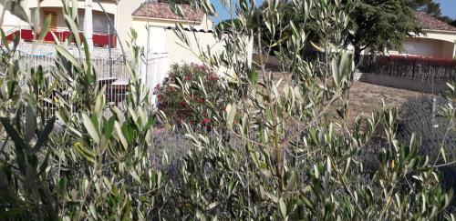 Κήπος έξω από το Au Clos des Faysses