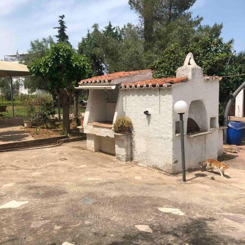 a cat is standing next to a small house at Villa Despina in Saint Minas