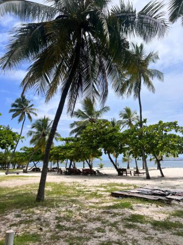 a group of palm trees on a beach at Diani Sun Beachfront Studio in Ukunda