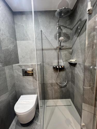 a bathroom with a shower and a toilet at Willa pod Czantorią SPA Ustroń in Ustroń