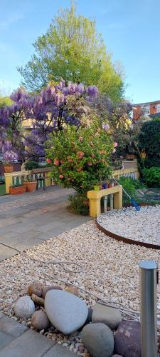 park z ławkami i fioletowymi kwiatami i drzewami w obiekcie Villa Lina w mieście Cremona