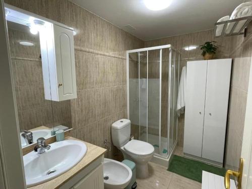 uma casa de banho com um WC, um lavatório e um chuveiro em Apartamento Dulce Vista em Poris de Abona