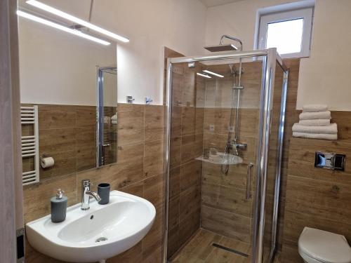 een badkamer met een wastafel en een douche bij Casa 7 Sate in Săcele