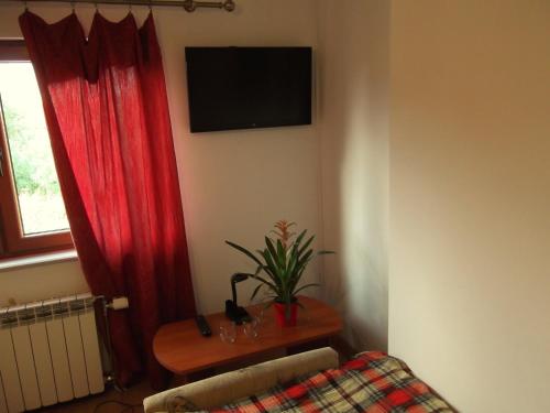 a living room with a table with a plant and a television at Dworek w Zieleni in Warsaw