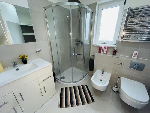 een badkamer met een douche, een toilet en een wastafel bij The Studio Serviced Apartment By AltoLuxoExperience Short Lets & Serviced Accommodation With Free Wifi in Bristol