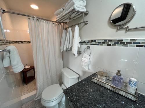 La salle de bains est pourvue de toilettes, d'un lavabo et d'un miroir. dans l'établissement Home On The Water In Marathon, Fl, à Marathon