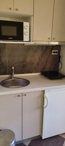 eine Küche mit einer Spüle und einer Mikrowelle in der Unterkunft Apartmani Ad fines in Kuršumlija