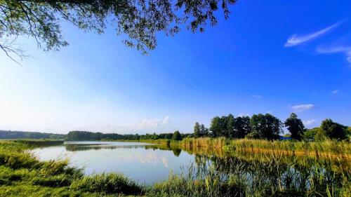 a view of a lake with trees in the background at Domek w Zakątku Andrzeje Śniczany 18 in Sidra