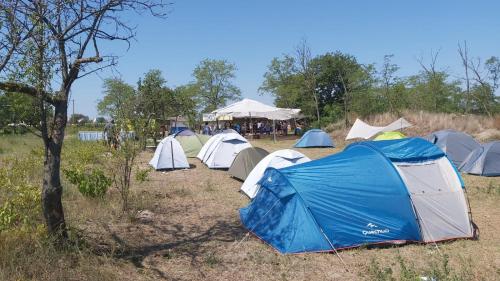 um grupo de tendas num campo com uma árvore em Camping Letea Himalaya em Letea