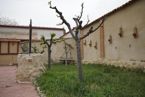 Сад в Casa Rural La Abuela Marcelina