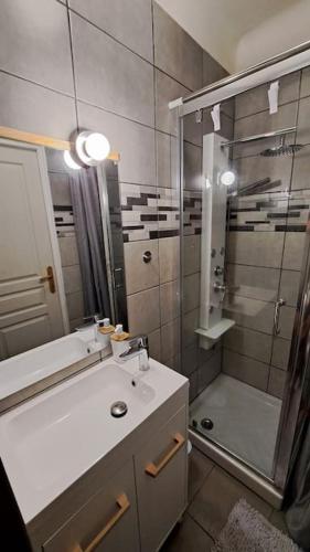 une salle de bain avec un lavabo et une douche dans l'établissement Palavas, à Palavas-les-Flots