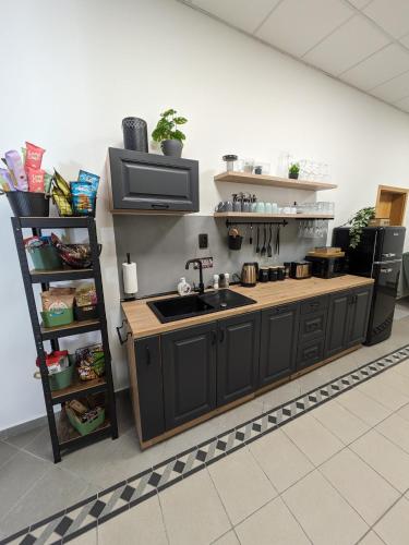 a kitchen with a counter with a sink and a shelf at Penzion Grand Nymburk in Nymburk